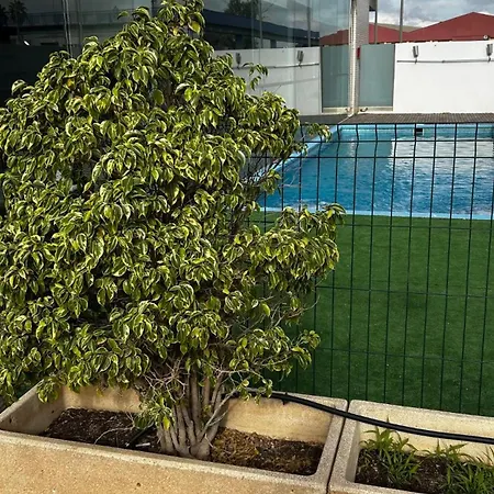 Hotel Xon's Valencia